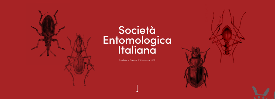 Società Entomologica Italiana