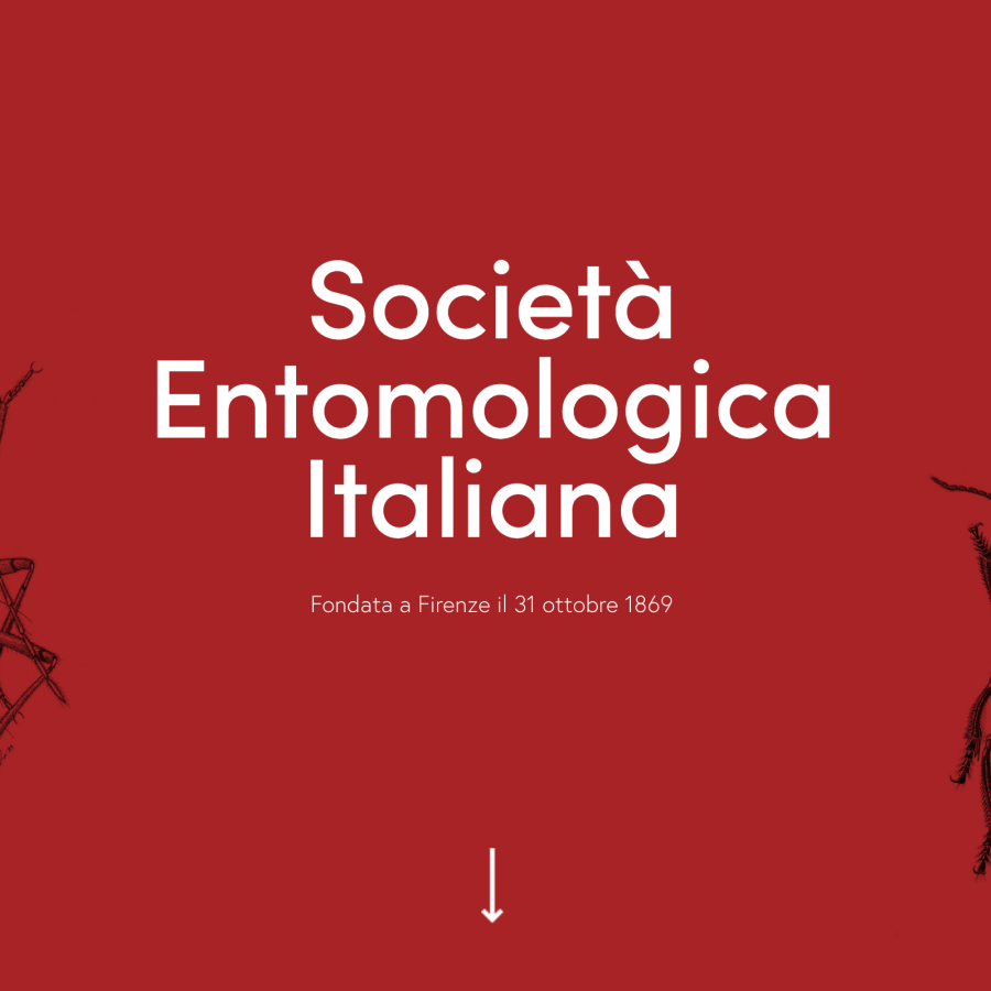 Società Entomologica Italiana