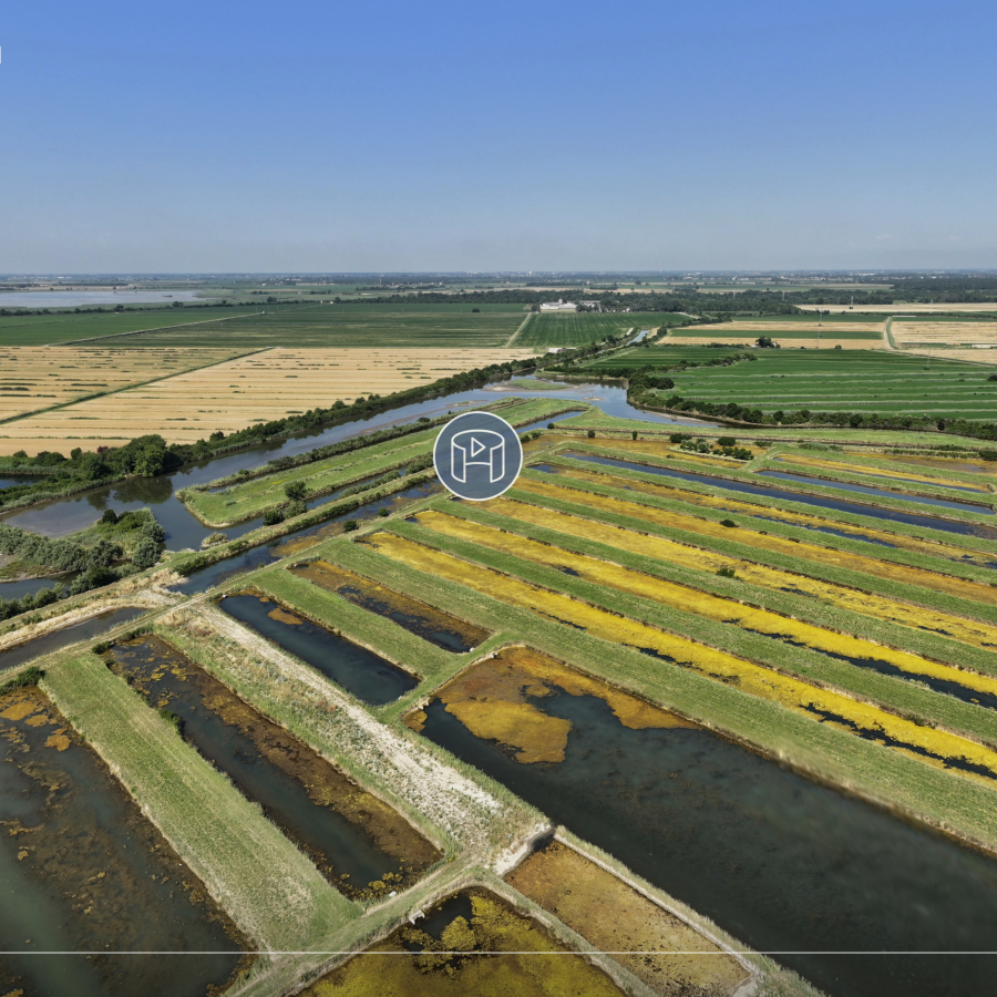 Virtual Tour Fishtour FVG
