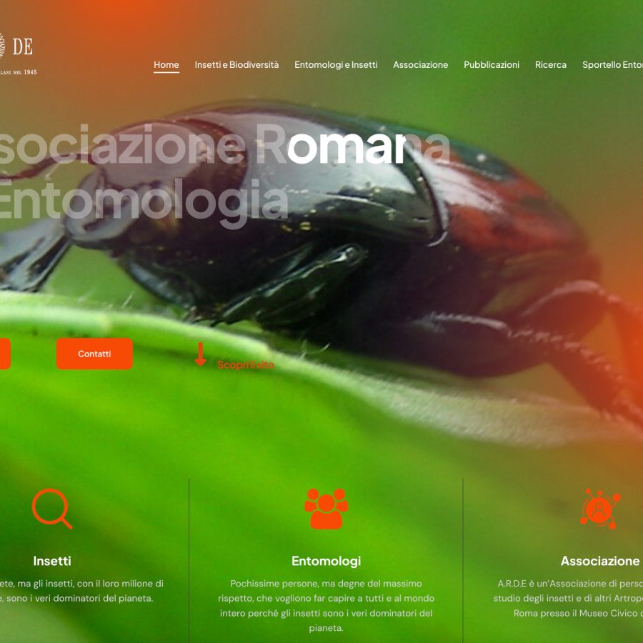Sito web per l’Associazione Romana di Entomologia