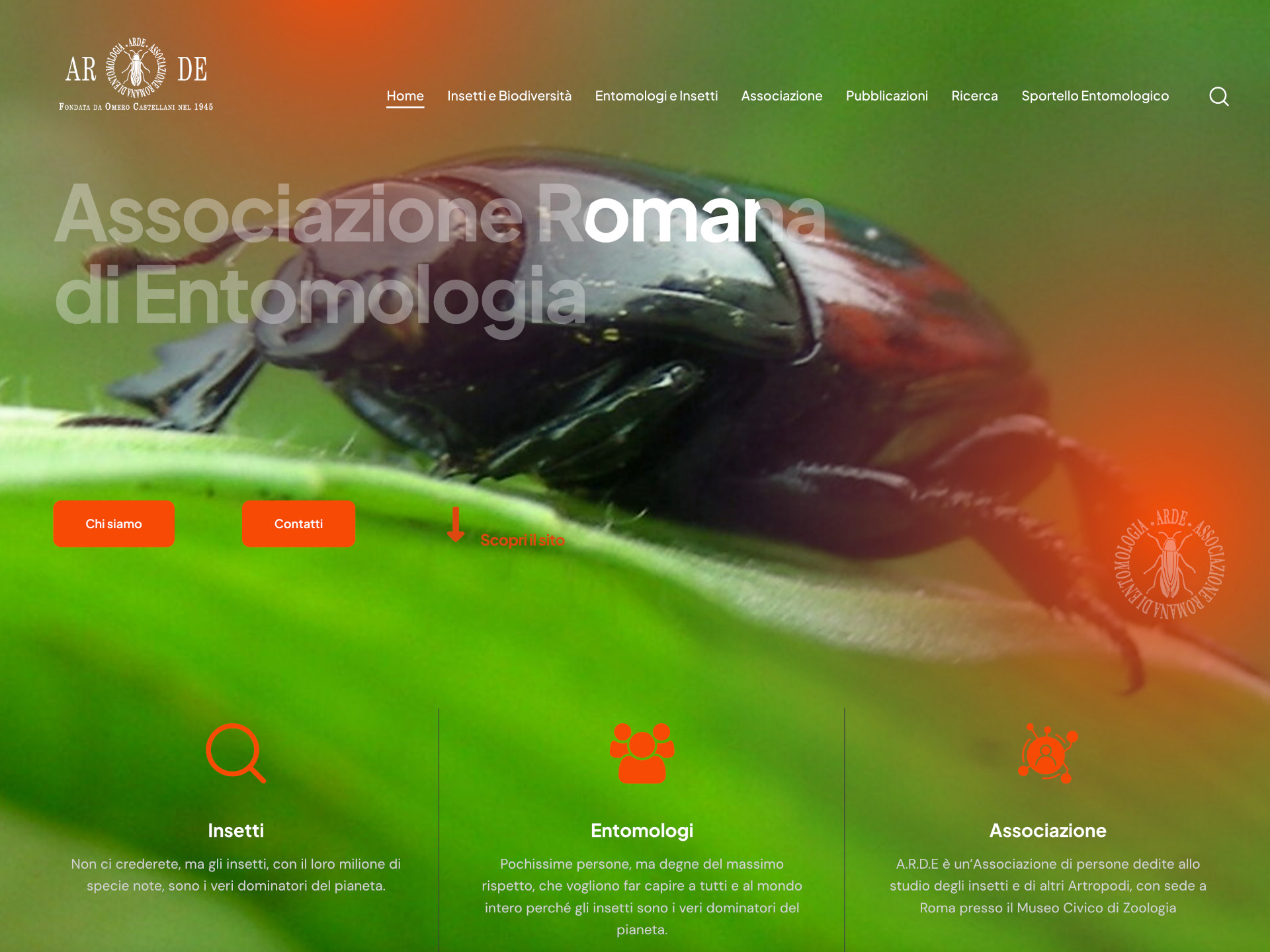 Sito web per l’Associazione Romana di Entomologia