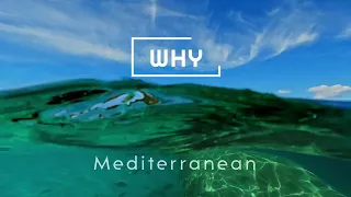 Mediterranean Status Quality Report