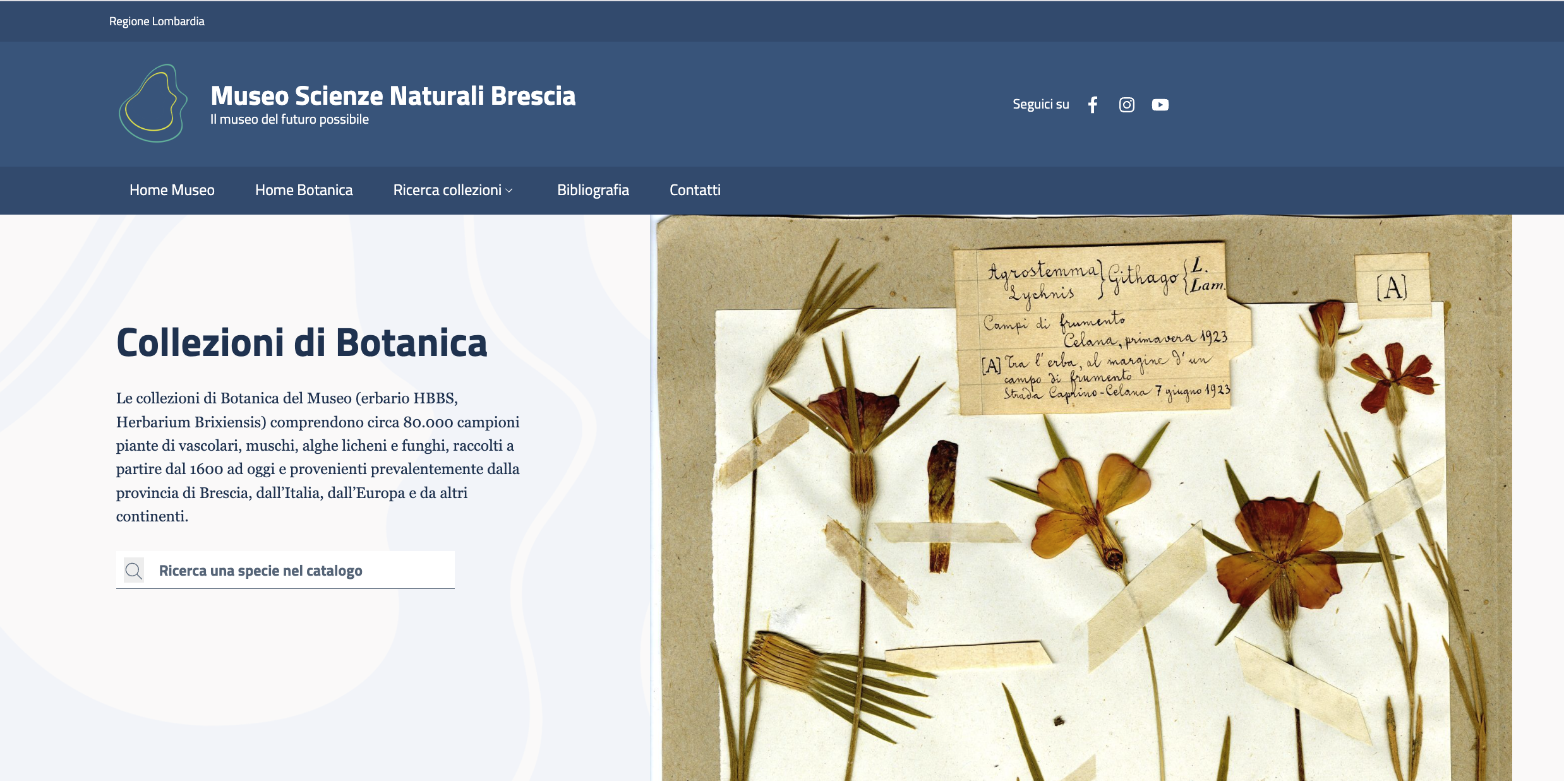 Museo di Scienze Naturali di Brescia – Collezioni Botaniche Online